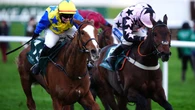 Heads Up set for Cheltenham return on Friday