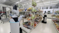 ロボット開発の壁を破るか？ 300億円超を投じる国産オープンソフト基盤の勝算は