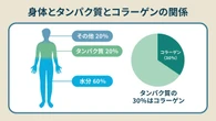 美肌のイメージ？生物学者が「コラーゲン摂取するなら肉食べる」と断言のワケ
