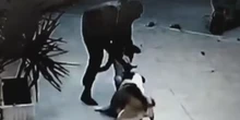 Una veterinaria le salva la vida a una niña de dos años que fue atacada por un perro