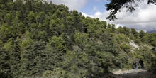 El nuevo parque nacional está en Málaga: estas son sus joyas imprescindibles