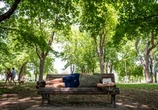 Fête nationale was hottest June day on record in Montreal