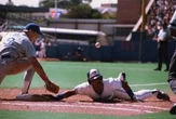 New book explores Blue Jays’ 48-year history