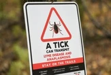 Quebec issues warning about diseases from ticks, mosquitoes