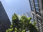 No impact to Toronto’s green standard under new Ontario law, city staff says