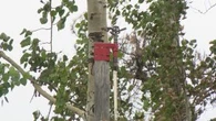 Sprinkler system outside Saskatchewan cabin staves off wildfires