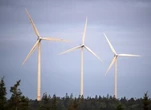 Donald Trump’s disdain for wind energy could create windfall for Nova Scotia: experts