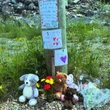 ‘His loss is immeasurable,’ family says after 3-year-old boy struck, killed by vehicle