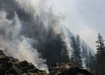 Canada’s wildfire smoke ‘suffocating,’ needs ‘better’ management: U.S. reps