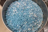 Health Canada issues Interpol operation alert over fake drugs sold online