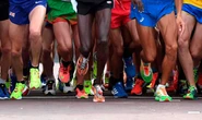Montreal marathon called off due to COVID-19 pandemic
