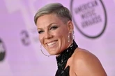 Pink to hand out 2,000 ‘banned’ books at Florida concerts