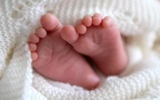 Quebec government considers sperm donor registry