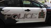 Police officer, 2 residents injured during dog attack inside Niagara Falls home