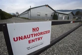 18 poultry farms in B.C. dealing with avian flu outbreaks