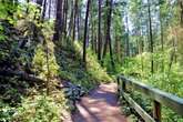 Casorso underpass along Kelowna’s Mission Creek Greenway closed