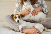 Have a pet? They could boost your happiness as much as $120K a year