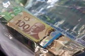 New Financial Crimes Agency needed to combat growing threat of fraud, scams: experts