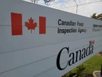 ZoRaw chocolate recalled in Canada due to ‘improperly declared milk’