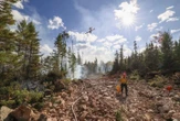 Unseasonably warm temps fuelling wildfire, affecting crops in Maritimes