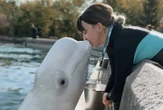 ‘We need to get them out’: Beluga trainer fired by Marineland speaks out