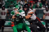 Lions take six-game win streak into playoffs