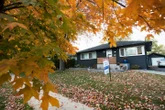 Ontario city to fine homeowners who block public paths with loose leaves