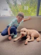 Renewed plea for missing Burnaby boy, believed to be staying with a ‘caretaker’