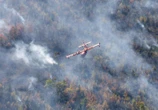 Nova Scotia offers emergency financial support for Lake George wildfire evacuees