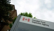 ‘Presence of insects’ prompts recall of Canadian soup mix