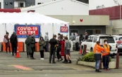 New Zealand monitoring after COVID-19-positive Australian traveller visits