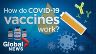 How COVID-19 vaccines work as young adults in Quebec remain hesitant to get jab
