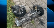 London, Ont. family, lizard, rabbit, 3 dogs safe after hoverboard fire: chief