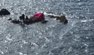 3 people, 2 dogs adrift in inflatable flamingo rescued by Alaska Coast Guard