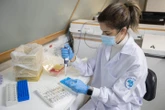 Ontario reports 699 new COVID-19 cases, lowest daily increase since October