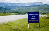Coal companies hope to move forward with mines in Alberta despite roadblocks