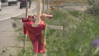 Small red dresses line B.C. highway in tribute to children found in burial site