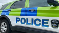 Several people, including child, attacked by loose dog in Barrie
