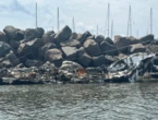 Jet skier says ‘adrenaline kicked in’ after watching boat explode on N.B. wharf