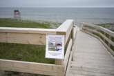 ‘Otherworldly’ Portuguese man o’ war becoming more common on Nova Scotia’s inshore