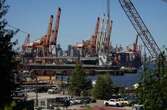 B.C. ports’ job action could reignite if automation isn’t addressed: expert