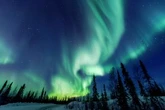 Look up! There’s a strong chance northern lights will put on a show this week