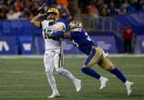 Surging Blue Bombers blitz Elks 55-27, clinch playoff spot