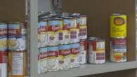 ‘Harsh reality’: Ontario food bank use reaches record highs