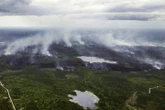 N.S. wildfires: Out-of-control blaze in Annapolis Valley keeps on growing