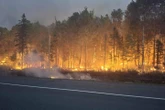 Evacuation advisory issued for some in N.B. due to ‘out of control’ wildfire