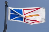 Wildfire in eastern Newfoundland prompts evacuations in small communities