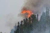 New Brunswick wildfires: Miramichi blaze remains out of control as others appear