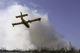 N.S. wildfires: Blaze in Annapolis Valley that forced evacuations continues to grow