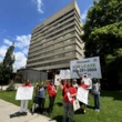 Cockroaches, mould, heat: Peel tenants decry rental conditions in survey